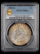 1896 O $1 PCGS MS61