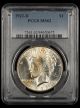 1923 D $1 PCGS MS62