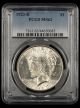 1923 D $1 PCGS MS62