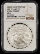 2008 W $1 NGC MS70 Reverse of 2007 Burnished Silver Eagle